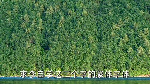 李自學(xué)，中國哪個(gè)演員最適合演黃四郎這個(gè)角色有點(diǎn)心痛 英雄本色