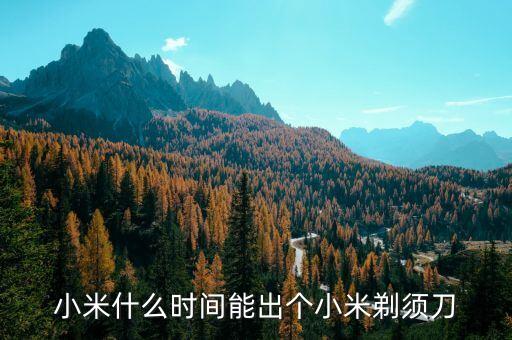 米家電動剃須刀，話說 小米怎么沒出個小米剃須刀