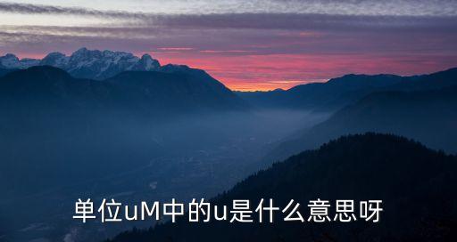 u一，u左邊加一豎是什么符號(hào)