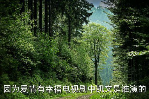 因?yàn)閻矍橛行腋ｋ娨晞≈袆P文是誰(shuí)演的