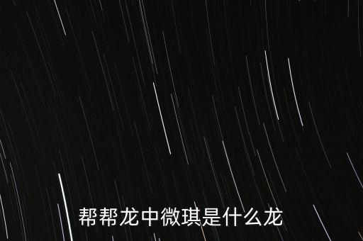 幫幫龍中微琪是什么龍