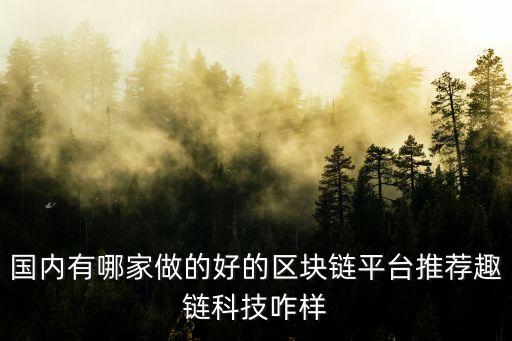 國(guó)內(nèi)有哪家做的好的區(qū)塊鏈平臺(tái)推薦趣鏈科技咋樣