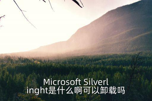 Microsoft Silverlinght是什么啊可以卸載嗎