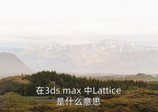 在3ds max 中Lattice是什么意思