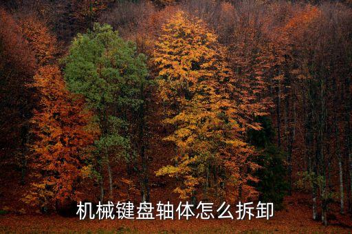 機(jī)械鍵盤軸體怎么拆卸