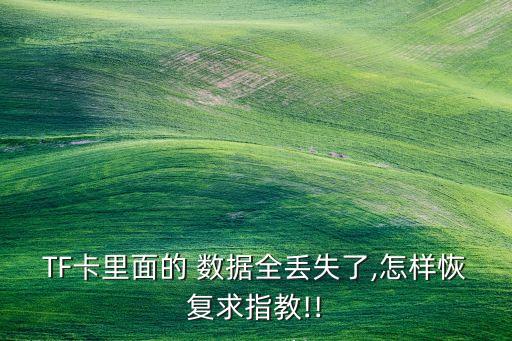 TF卡里面的 數(shù)據(jù)全丟失了,怎樣恢復(fù)求指教!!