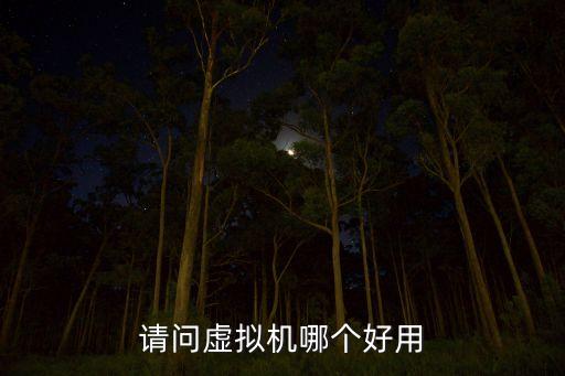 請(qǐng)問(wèn)虛擬機(jī)哪個(gè)好用