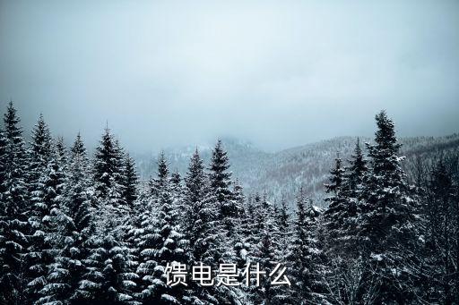 饋電，饋電是什么