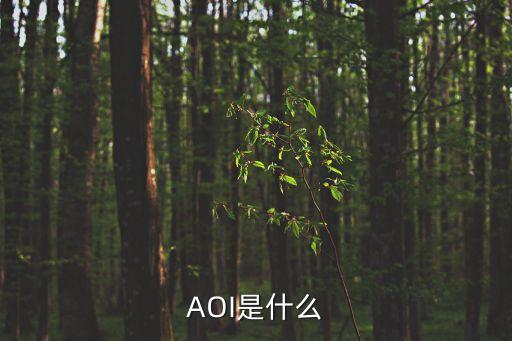aoi，AOI是什么