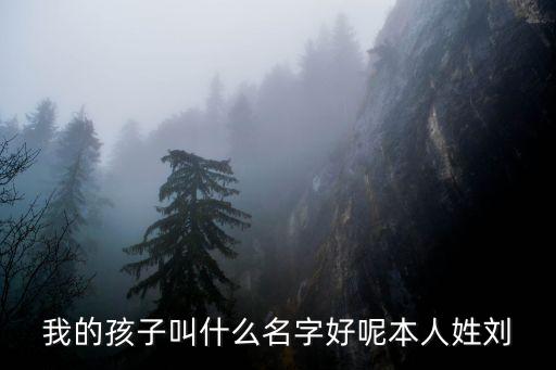劉雄飛，誰(shuí)能用我的名字做詩(shī)劉雄飛