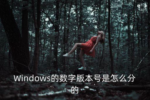 Windows的數字版本號是怎么分的