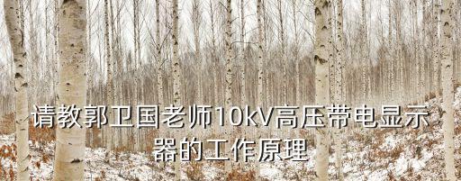 請教郭衛(wèi)國老師10kV高壓帶電顯示器的工作原理