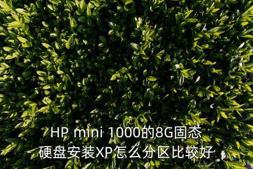 HP mini 1000的8G固態(tài)硬盤安裝XP怎么分區(qū)比較好