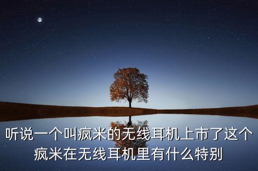 聽說一個叫瘋米的無線耳機上市了這個瘋米在無線耳機里有什么特別