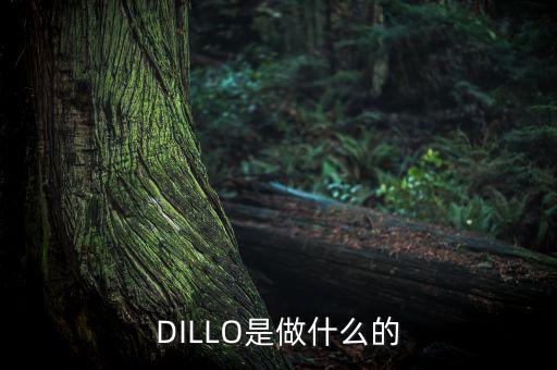 DILLO是做什么的