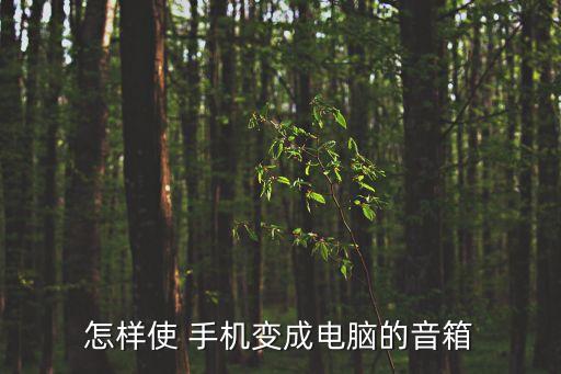 怎樣使 手機(jī)變成電腦的音箱