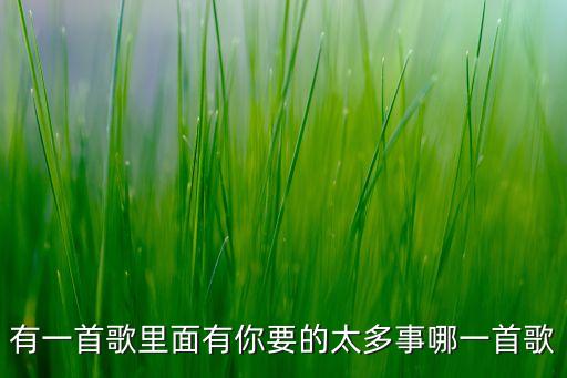 有一首歌里面有你要的太多事哪一首歌