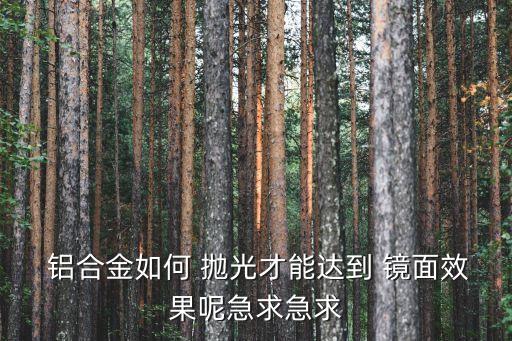 鋁合金鏡面打磨拋光設(shè)備自動(dòng)化