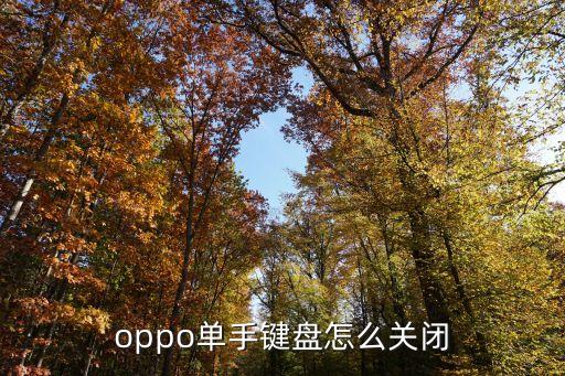 單手鍵盤，oppo單手鍵盤怎么關(guān)閉