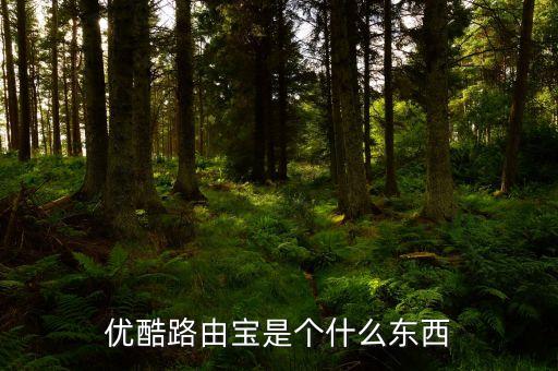 優(yōu)酷路由寶是個(gè)什么東西