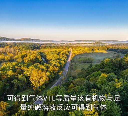 可得到氣體V1L等質(zhì)量該有機(jī)物與足量純堿溶液反應(yīng)可得到氣體