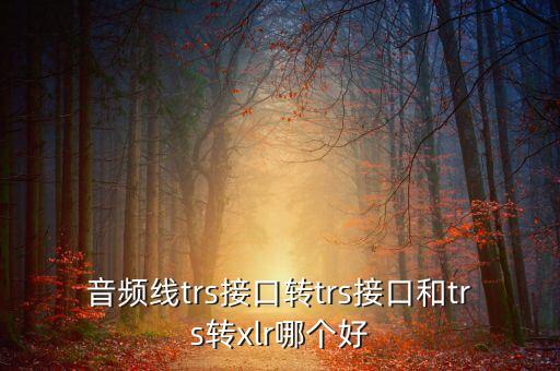 音頻線trs接口轉(zhuǎn)trs接口和trs轉(zhuǎn)xlr哪個(gè)好