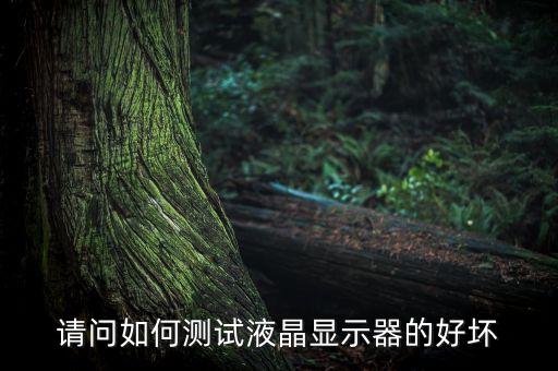 請(qǐng)問(wèn)如何測(cè)試液晶顯示器的好壞