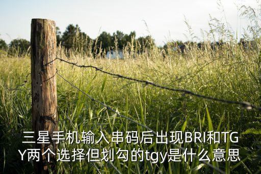 三星手機輸入串碼后出現(xiàn)BRI和TGY兩個選擇但劃勾的tgy是什么意思