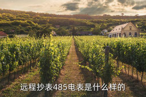 遠(yuǎn)程抄表485電表是什么樣的