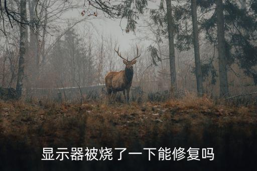 顯示器被燒了一下能修復(fù)嗎