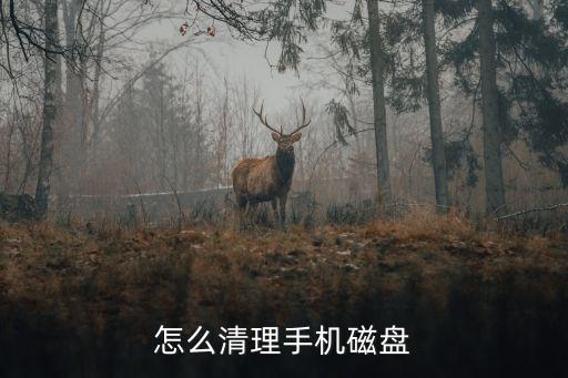 怎么清理手機(jī)磁盤