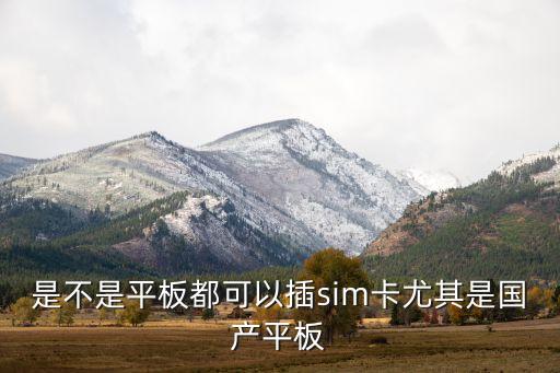 是不是平板都可以插sim卡尤其是國(guó)產(chǎn)平板