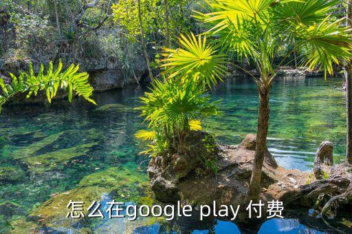 怎么在google play 付費