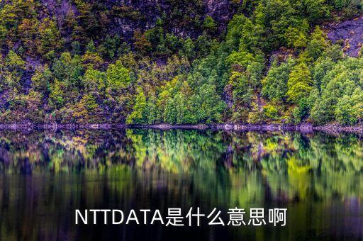 NTTDATA是什么意思啊