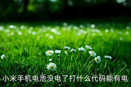 小米手機(jī)補(bǔ)電代碼，手機(jī)沒電了聽說輸入什么代碼就可以啟動(dòng)備用電源