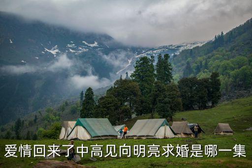 愛(ài)情回來(lái)了中高見(jiàn)向明亮求婚是哪一集