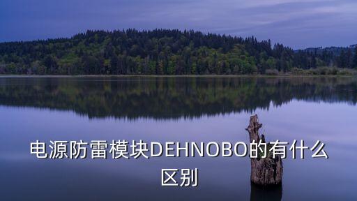 電源防雷模塊DEHNOBO的有什么區(qū)別