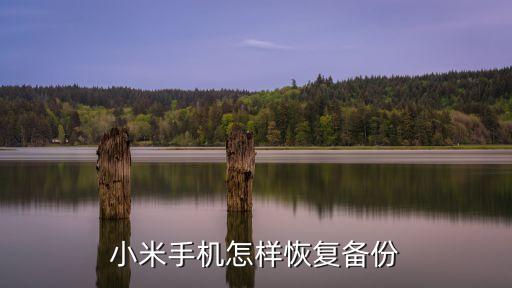 小米手機(jī)怎樣恢復(fù)備份