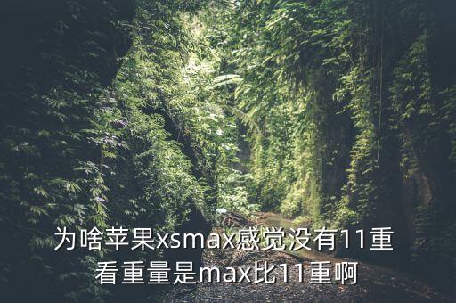 為啥蘋果xsmax感覺沒有11重 看重量是max比11重啊