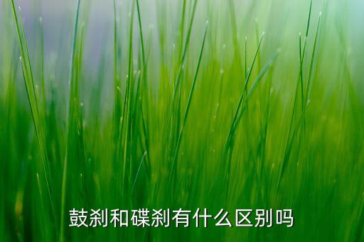 鼓剎和碟剎有什么區(qū)別嗎