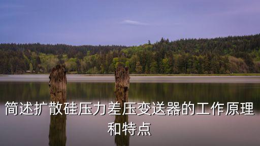 簡述擴(kuò)散硅壓力差壓變送器的工作原理和特點(diǎn)