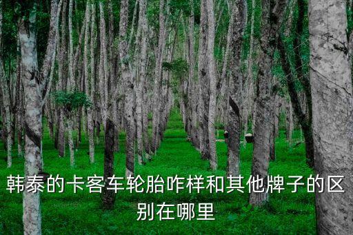 韓泰的卡客車輪胎咋樣和其他牌子的區(qū)別在哪里