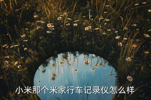 米家行車記錄儀，小米那個(gè)米家行車記錄儀怎么樣