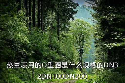 熱量表用的O型圈是什么規(guī)格的DN32DN100DN200
