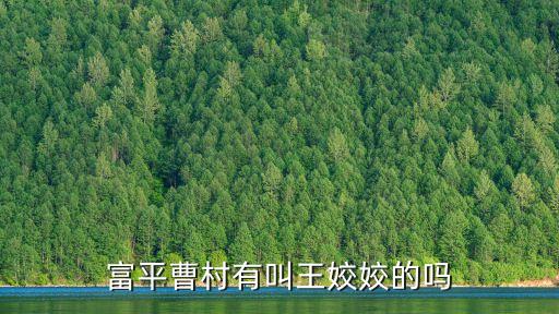 富平曹村有叫王姣姣的嗎
