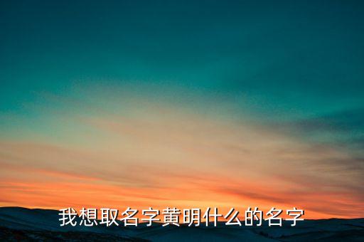 我想取名字黃明什么的名字