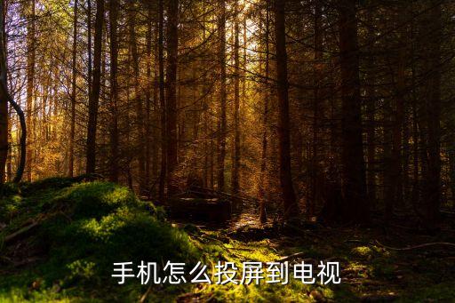 電視投屏怎么操作，手機怎么投屏到電視