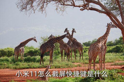 小米截屏快捷鍵，小米手機截圖有沒有什么快捷鍵的