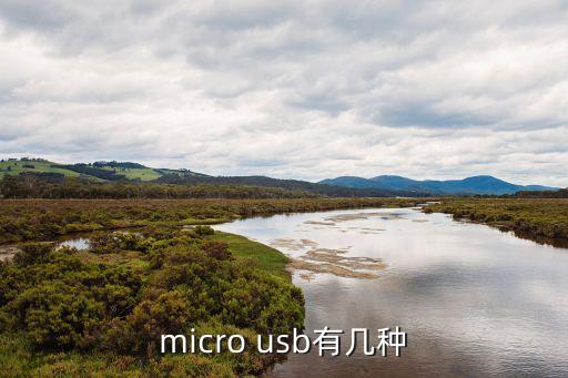 micro usb有幾種