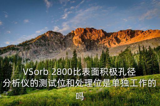 VSorb 2800比表面積極孔徑分析儀的測試位和處理位是單獨工作的嗎